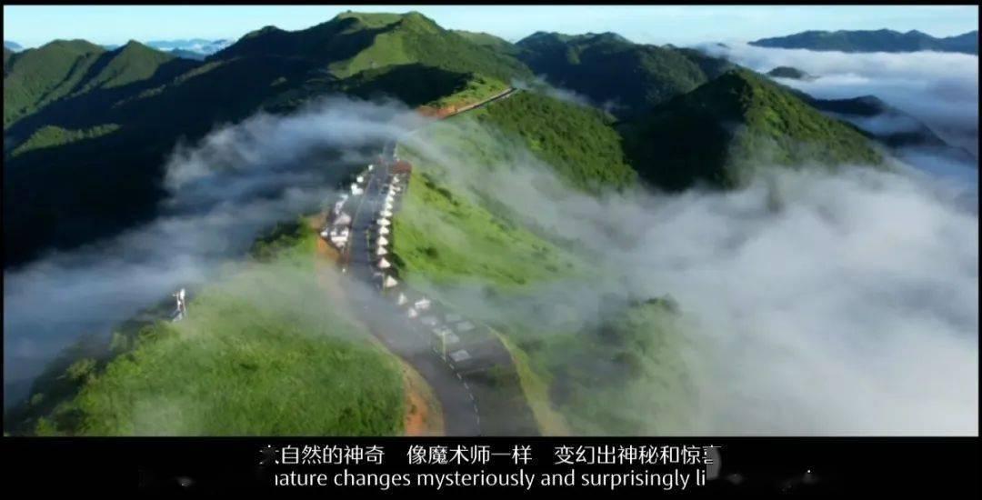 唐骏的“刻”守之道①：何为白花石刻？｜匠心